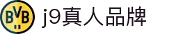 九游·会(J9.com)集团官网 - 真人游戏第一品牌[首页]