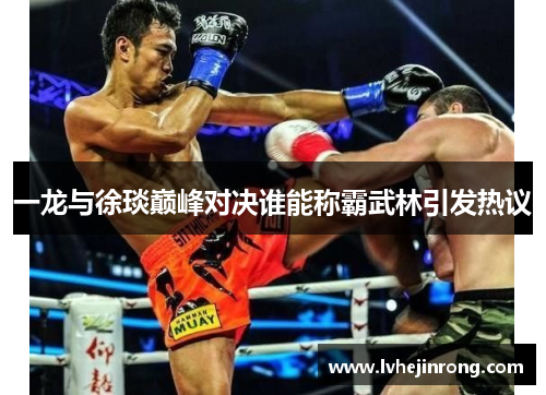 一龙与徐琰巅峰对决谁能称霸武林引发热议
